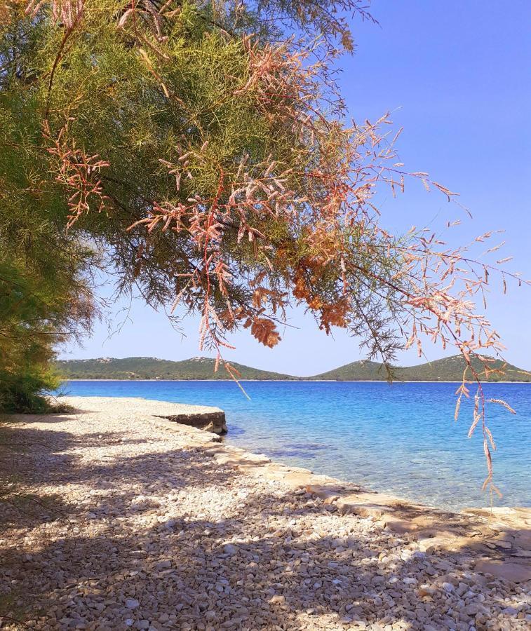 Eden Lady Mobile Home, Croatia, ドラゲ エクステリア 写真